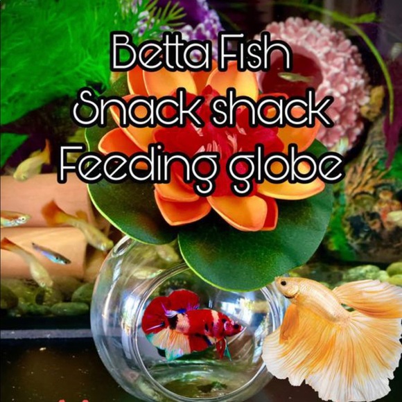 Betta fish feeding globe for frozen foods - Picture 4 of 12